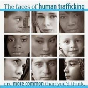 Meet your Posher, Sandy